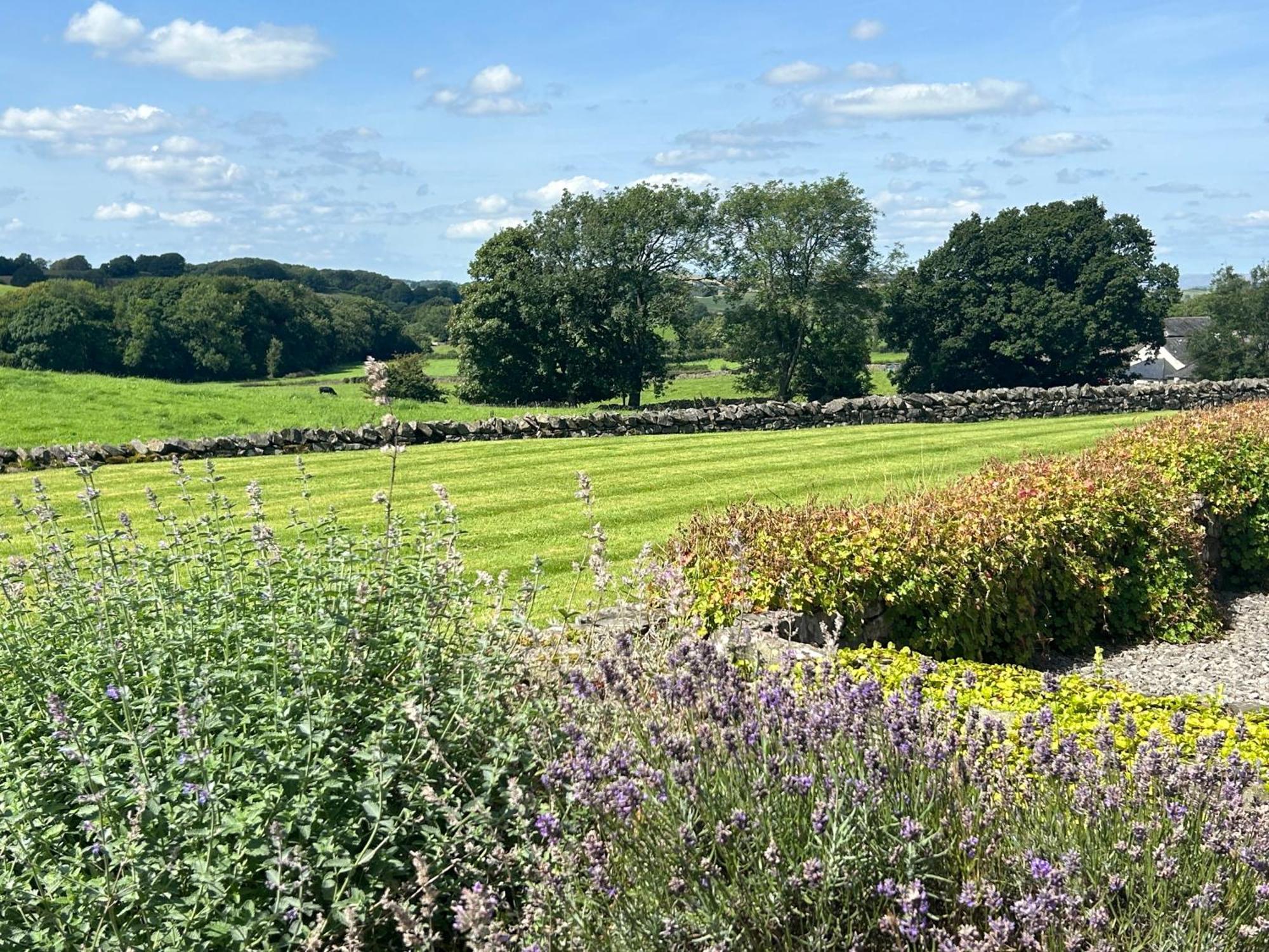 Canny Brow Barn Kendal Exteriör bild